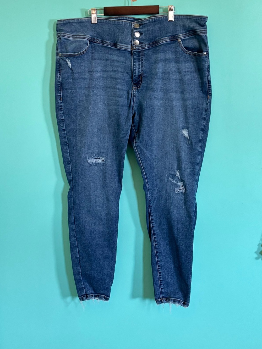 Lane Bryant High Rise Jegging